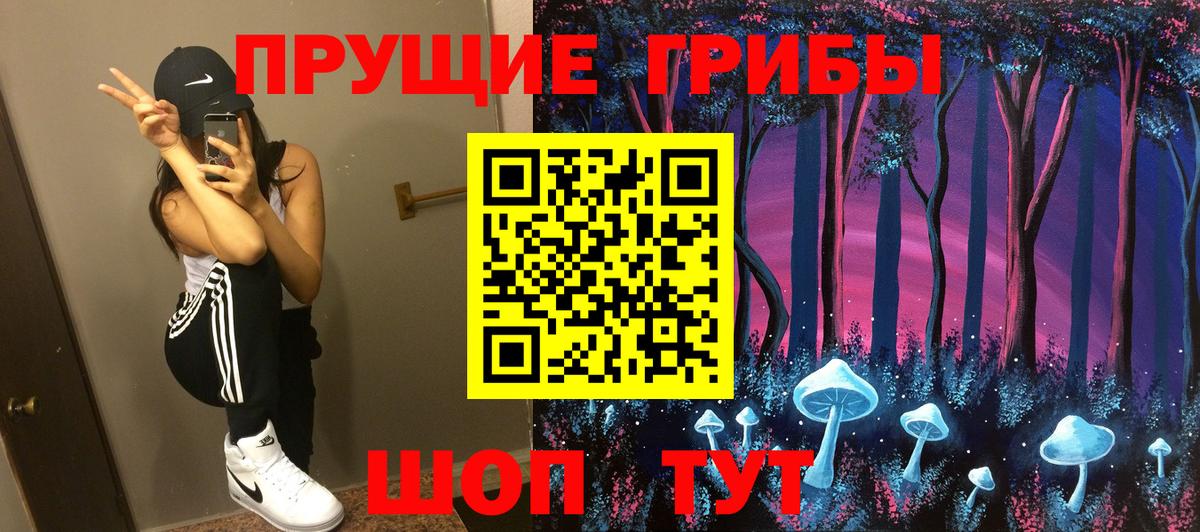 Псилоцибиновые грибы Cubensis  Вход с VPN  Бор 